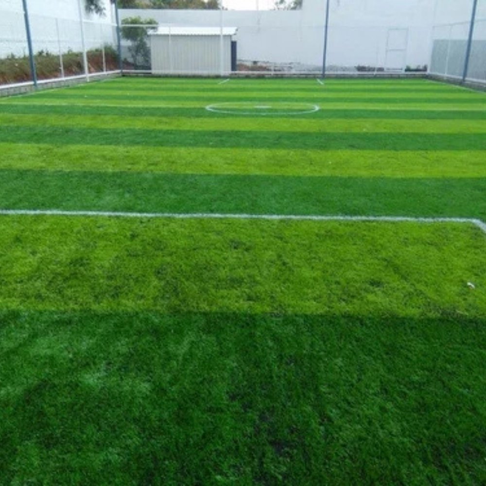Artificial Grass D / L